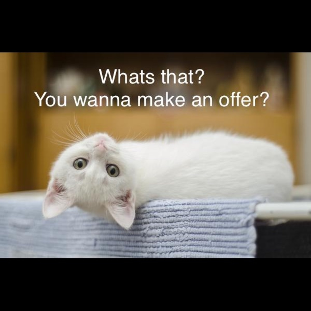 Dont be shy!